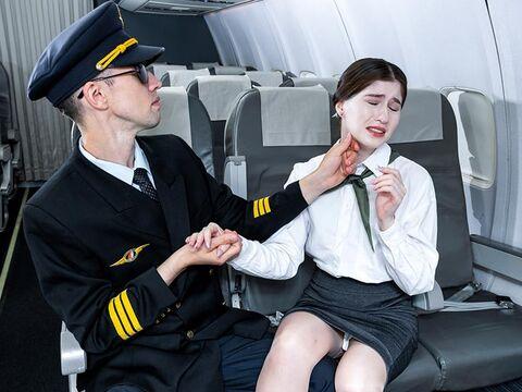 Молодую стюардессу ебут в салоне самолета...